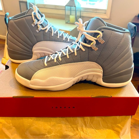 Jordan 12 stealth